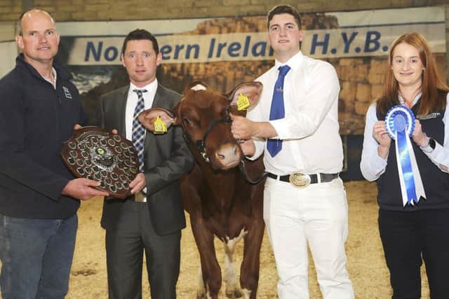 The reserve supreme championship and the McCann Shield went to Edenordinary Redhot Lulu Red owned by George Mitchell, Banbridge, and shown by Desmond McCorry. Adding their congratulations are judge Rory Timlin, and sponsor Denise Rafferty, Thompsons. Picture: Jane Steel