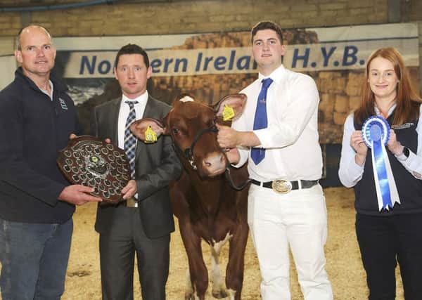 The reserve supreme championship and the McCann Shield went to Edenordinary Redhot Lulu Red owned by George Mitchell, Banbridge, and shown by Desmond McCorry. Adding their congratulations are judge Rory Timlin, and sponsor Denise Rafferty, Thompsons. Picture: Jane Steel