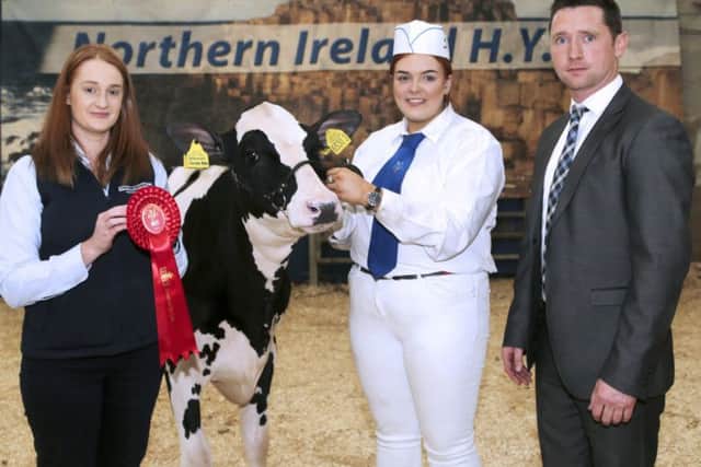 Sponsor Denise Rafferty, Thompsons, and judge Rory Timlin, are pictured with Ellie McLean, Bushmills, who exhibited the first prize winning Priestland Solomon 6530 James Rose. Picture: Jane Steel