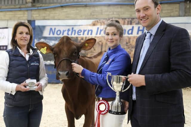 Champion handler in the Ayrshire section was Jessica Hall from Mallusk, winner of the senior showmanship class. She is pictured receiving the Fullerton Cup from Alison Beattie, Farm Wardrobe, and judge Iwan Thomas. Picture: Jane Steel