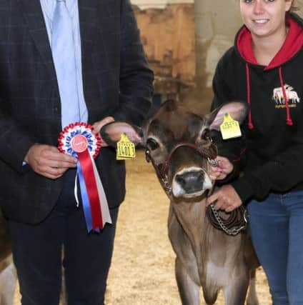 The supreme champion Jersey at the 17th annual multi-breed dairy calf show was the Fleming Familyâ¬"s Potterswalls Impression Gloria exhibited by Kristina McKeag. Adding his congratulations is Welsh judge Iwan Thomas. Picture: Jane Steel