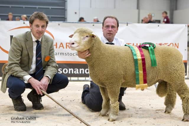 Male Champion and Supreme Overall, 'Kildowney Ben' from Graham and Mary Cubitt pictured with handler, William Carson and judge Tim Pratt