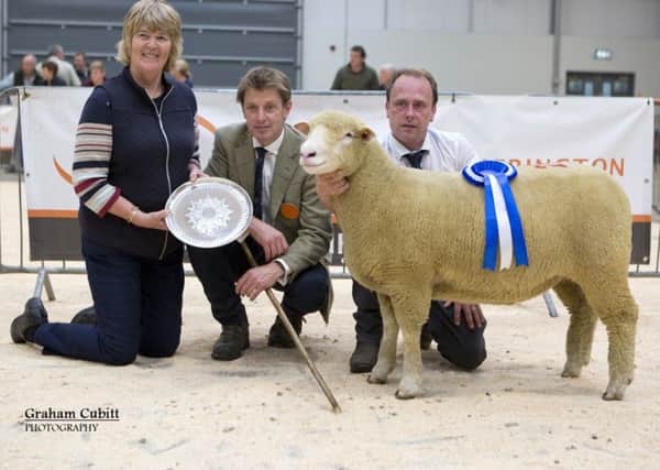 Female Champion and Reserve overall,ewe lamb from Graham and Mary Cubitt with handler William Carson, judge Tim Pratt and Heather French presenting the Redhill perpetual award