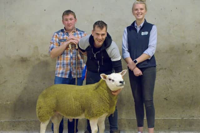 James Herdman accepts the Fane Valley Championship at the NI Texel Breeders Clubs Show and Sale in Hilltown from judge Frank Clewer and sponsor Rebecca Laffin Fane Valley.