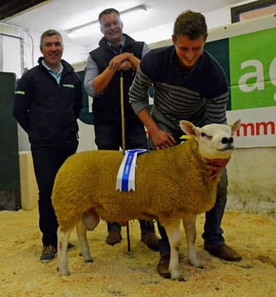 Michael Smyth Foyle View Texels accepts the Holden Agri & Fuels Ltd Reserve Champion from sponsor Stephen Holden and Judge Richard Henderson at the NI Texel Breeders show and sale in Lisahally.
