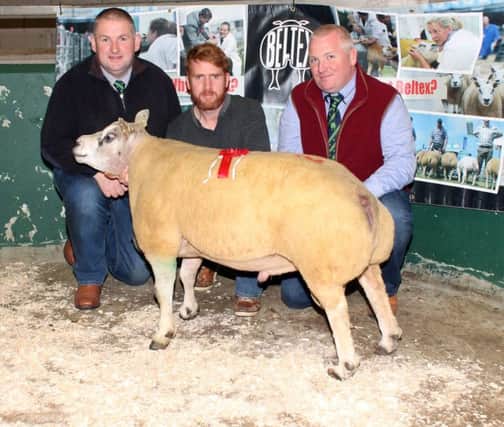 Kenny Preston with his class winning Aged Ram, Munreary Bingo, Lot 2, breeder, Patrick Brolly and judge, Eddie O'Neill.