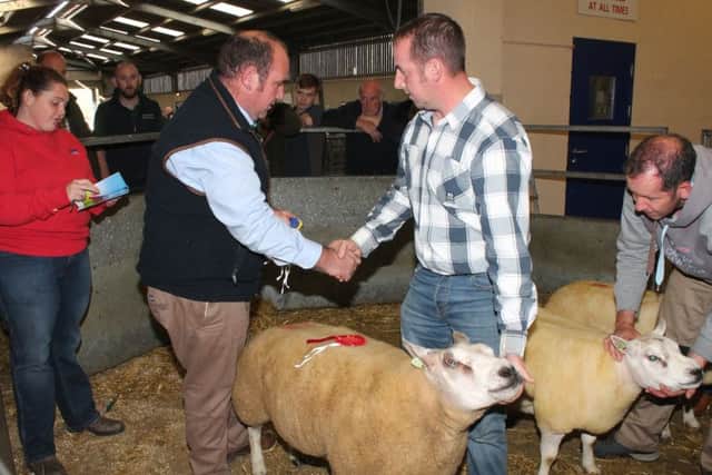 Allen McFadden is congratulated by judge, Seamus Kelly, after winning the Male Championship with Lot 13, Ashley Diesel. The Shearling Ram went on to lift the Supreme Champion title.