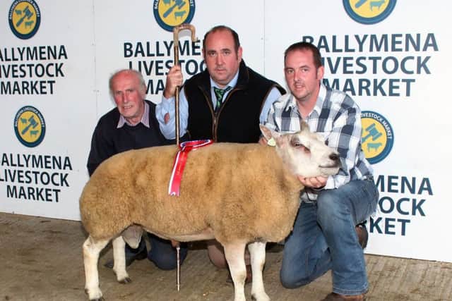 Allen McFadden, right, and Alan Dawson with Ashley Diesel, Lot 13, the Supreme Champion at the Irish Beltex Sheep Breeders Club Show at Ballymena Livestock Market and Show judge, Seamus Kelly.