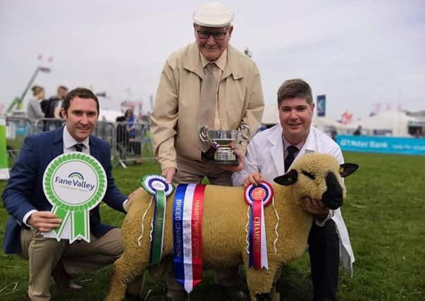 Brian's biggest achievement to date was winning the Hampshire Down Breed Champion at the 2019 Balmoral Show with his homebred ram lamb.
