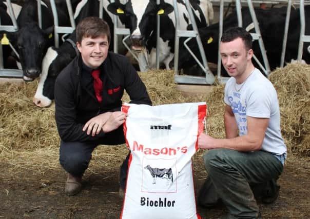 Michael Stewart, from Mason's Animal Feeds, discussing the use of
Biochlor pre calver nuts - as an integral part of a dry cow management
programme - with Garvagh milk producer Christopher Gordon