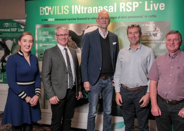 Pictured at MSD Animal Healths Bovilis INtranasal RSPAE Live launch meeting in the Hilton Hotel, Templepatrick are Sarah Campbell, Technical Advisor, MSD Animal Health, Professor Schuberth, Fergal Morris, MSD Animal Healths General Manager for Ireland, Adam Maine, Jubilee Vets, Newtownards and Keith Loughlin, Riada Veterinary Clinic, Ballymoney