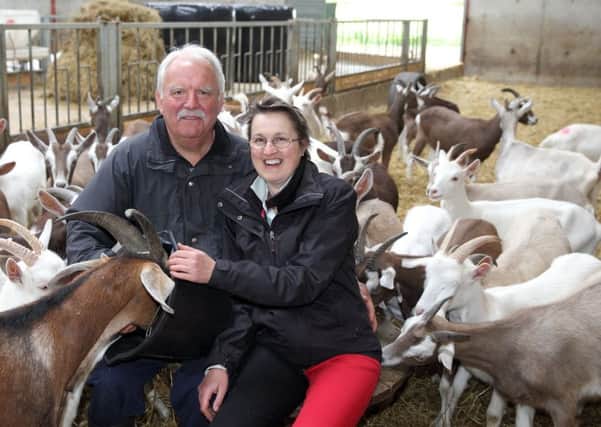 Host farmers Robin and Millie Cole with some of their 150 goats at Broughgammon Farm, Ballycastle. Picture: Cliff Donaldson
