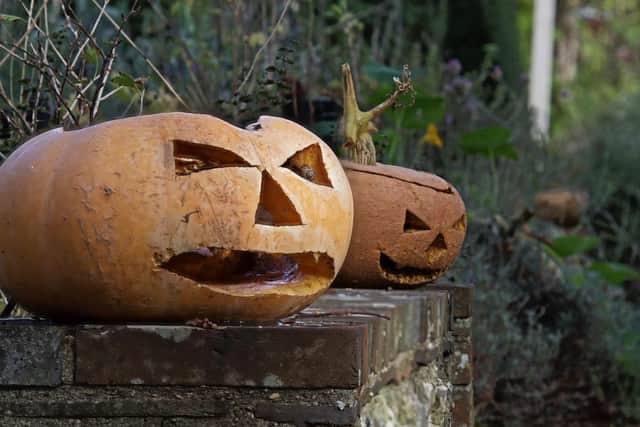 Make your own Jack-o-Lantern with the National Trust this Halloween
