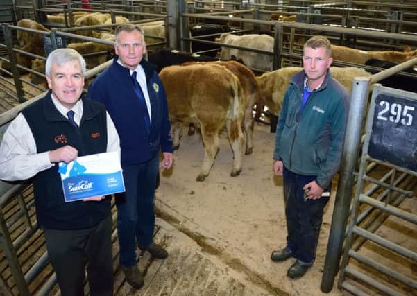 Richard McGinley, right, with his pen of Surecalves. Also included are Sam McNabney, second left, Ballymena Mart while Patrick MacFarlane, Zoetis highlights the Surecalf ear tags and certificate