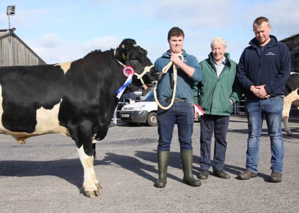 Supreme champion at Holstein NI's Kilrea bull sale was Keely Isaac Coral bred by William Black, Coleraine. Adding their congratulations are judge James Walker, Randalstown; and William McIlrath, HA McIlrath and Sons Ltd. Picture: John McIlrath