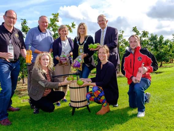 Richhill producers gather to celebrate the Taste of Armagh. Back row from left: Ulrich Dyer of Symphonia Gin, apple grower Hamilton Loney, Joanne Weir from Wilsons Country, Mayor of Armagh, Banbridge and Craigavon Borough Council, Mealla Campbell and Ivor Ferguson, president of the Ulster Farmers Union. In the front row, Tonya McMullan and Hazel Boland of Millennium Court Arts Centre and Chris Kirkland of Apple Blossom Bakery