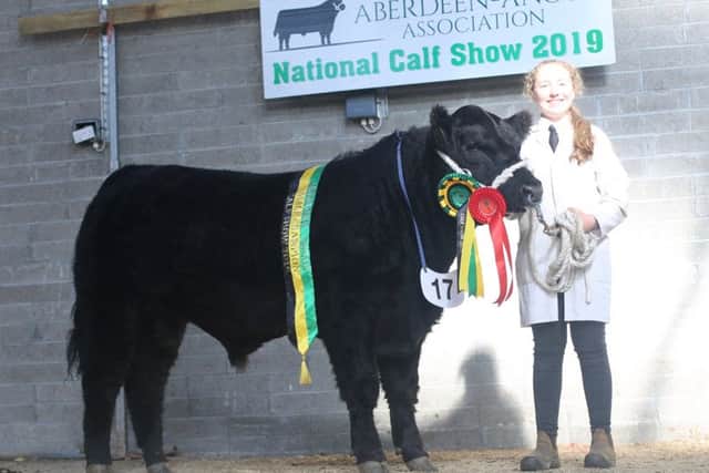 Fiona Mulligan, Currycramp, Dromod, Co Leitrim with the supreme male champion, Clooncarne Rossiter at the National Aberdeen-Angus calf show at Carrick-On-Shannon over the weekend. 
Photo: Edward Dudley
