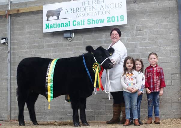 Gemma, Alesha, Amelia and Jasmine Parke, Strabane, Co Tyrone with the supreme female champion, Coolermoney Rosita V924 at the National Aberdeen-Angus calf show at Carrick-On-Shannon over the weekend. 
Photo: Edward Dudley