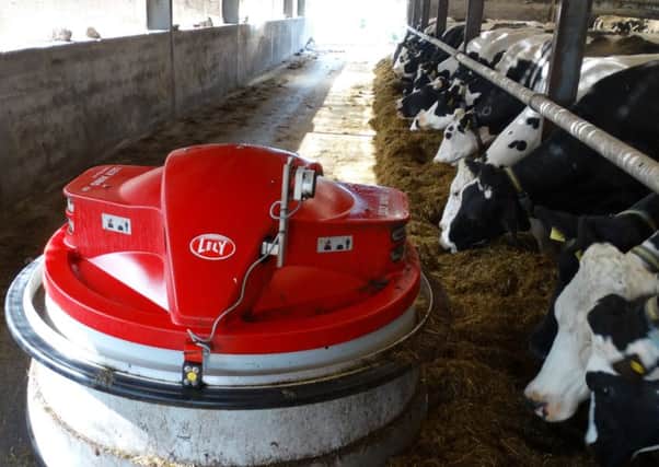When feed space and/or pushing is limited, the Lely Juno will have a bigger benefit on animal performance