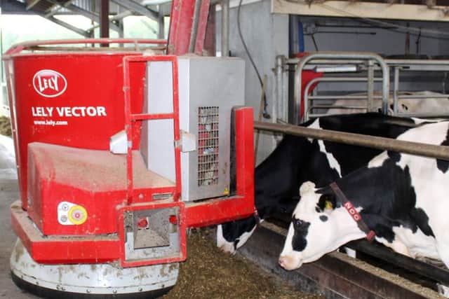 A Lely Vector feeding system operating on the dairy farm of Wim and Kevin Lubbersen. Their 190 Holstein cows are fed 15-times per day