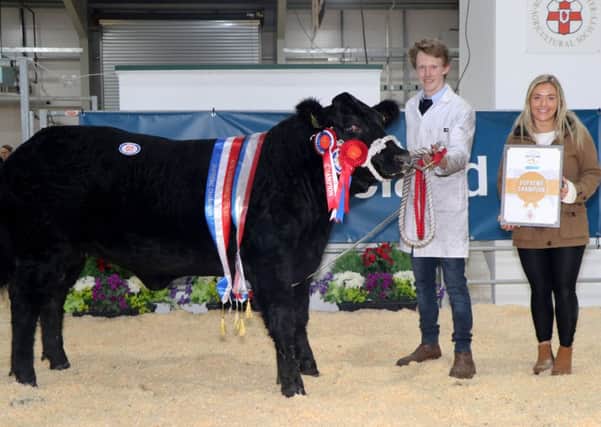 Jack Smyth pictured with Supreme Champion along with buyer Peita from Morning Star, Belfast.
