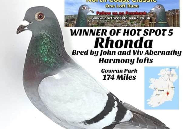 'Rhonda' winner of the 5th Hot Spot race at the North Coast Classic One Loft race