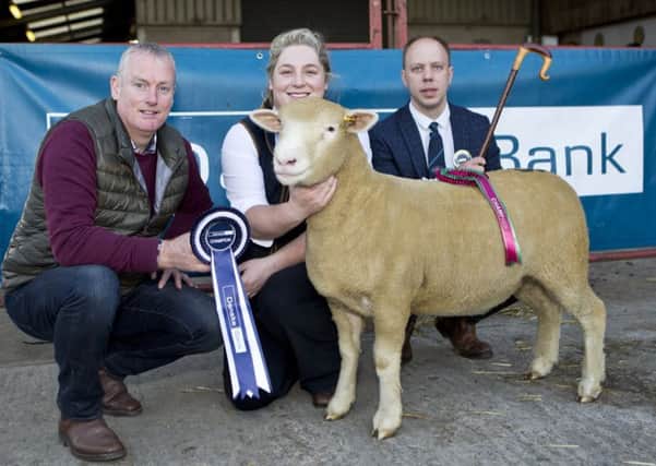 Laura Weir with the champion, pictured with sponsor Seamus McCormick, Dankse Bank and judge Allister McNeill