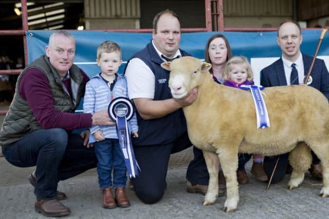 Glen and Siobhan Miller and family with reserve champion pictured with sponsor Seamus McCormick, Dankse Bank and judge Allister McNeill