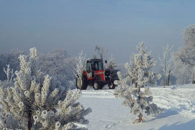 One of Ted Everetts favourite pictures - an MF 600 tractor with snowy backdrop