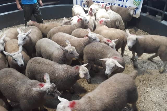 Swatragh Mart
