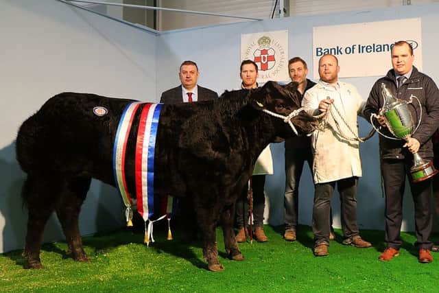 JCB Commercials from Newtownards was awarded the title of Supreme Champion with their Limousin, Flash. (Pictured L-R) Blair Dufton, Cattle Judge; Charlie Beverland, Johnny Neill and Gareth Corrie, JCB Commercials; Richard Primrose, AgriManager, Bank of Ireland; Billy Martin, RUAS President and Alan Crowe, RUAS Chief Executive
