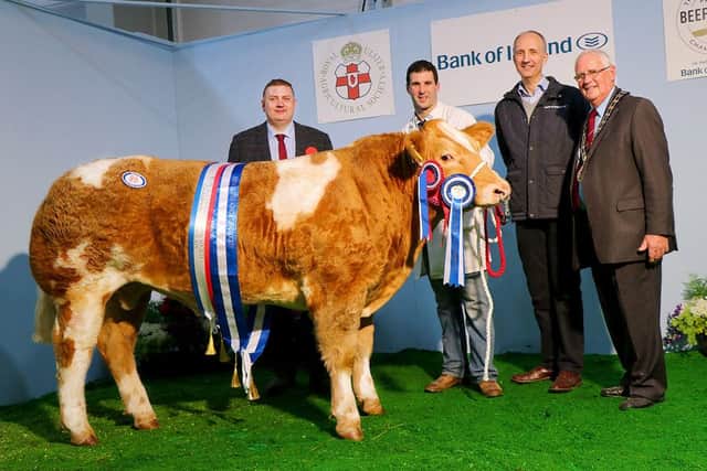 The title of Reserve Champion was awarded to Alan Veitch from Lisbellaw for his Charolais, Goldie. (Pictured L-R)  Blair Dufton, Cattle Judge; Alan Veitch; Ian Sheppard, Chief Executive, Bank of Ireland and Billy Martin, RUAS President