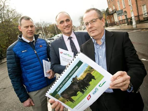 ABP, in conjunction with the Irish Cattle Breeding Federation (ICBF) and Teagasc has announced the latest results from its dairy beef genetic research programme, demonstrating a significant shift in carbon reductions in dairy beef.  Making the announcement are Padraig French, Head of Dairy Research at Teagasc, Andrew Cromie, ICBF Technical Director and Dean Holroyd, Group Technical and Sustainability Director, ABP. Picture: Colm Mahady/Fennell Photography 2019