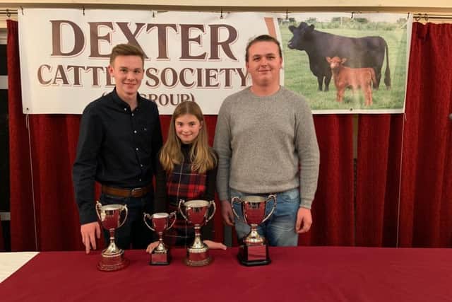 Young handler winners Mathew Bloomer, Hannah Jackson and Lachlan Henry.