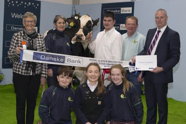 The Holstein Breed Championship at the Winter Fair was won by a cow owned by Paul Hannan from Limerick. Paul, Eileen, Claire, Bill and Jane Hannan and Paul Murphy (handler) are presented with the award by Seamus McCormick, Senior Agribusiness Manager, Danske Bank, North Region and Christine Adams, Deputy President, RUAS.