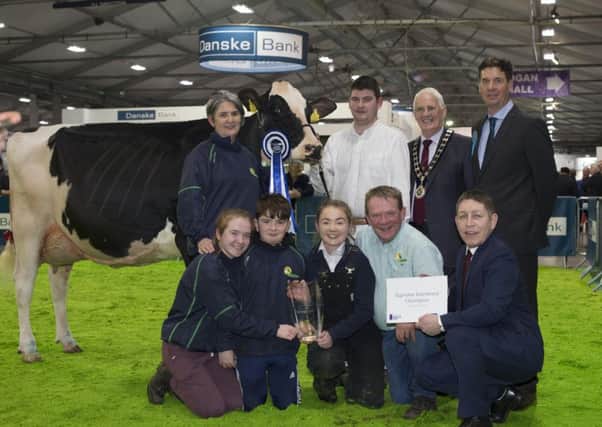 The Supreme Interbreed Champion at the Royal Ulster Winter Fair selected by judge Rob Anderson was a Holstein cow exhibited by Paul Hannan from Friarstown, Limerick.  Paul, Eileen, Claire, Bill and Jane Hannan and Paul Murphy (handler) are congratulated on their success by Rob Anderson, Livestock Judge, Rodney Brown, Head of Agribusiness, Danske Bank, accompanied by Billy Martin, President, RUAS.