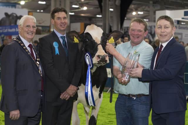 A delighted Paul Hannon and his Supreme Interbreed Champion Lisnalty Megasire Rituel look on as Danske Bankâ¬"s Head of Agribusiness, Rodney Brown , RUAS President Billy Martin and judge Rob Anderson add their congratulations in honour of this success. PICTURE STEVEN MCAULEY/MCAULEY MULTIMEDIA