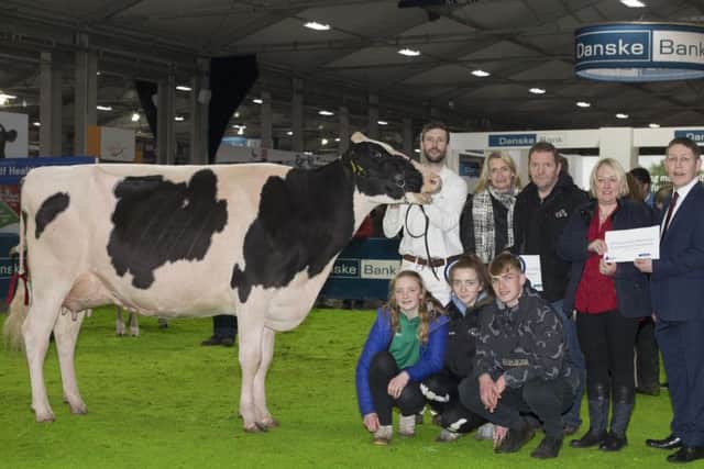 The Honourable Mention for Second Reserve in the Interbreed Championship at the Royal Ulster Winter Fair was awarded to Paul Hannon from Friarstown, Limerick with a Holstein cow, Tubbertoby Armsni Fleur.  Paul, Marguerite, Matthew, Thea & Ella Flanagan and handler, Gary Jones are pictured receiving this award from Rodney Brown, Head of Agribusiness, Danske Bank, accompanied by Karen Hughes, Business Development Executive, RUAS.