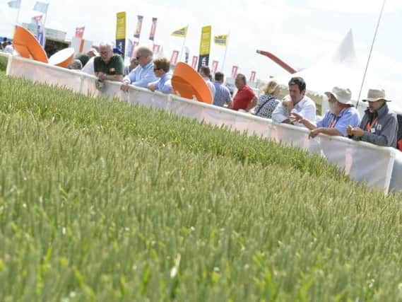 Cereals 2020 is rapidly taking shape, with several new features in the pipeline including a grain trading marquee, young farmers programme and technology demo ring