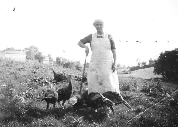 Farming Life journalist Darryl Armitage's great-grandmother Roseanne Ruske tending her Christmas turkeys at her home in Lisnaskea, Co Fermanagh