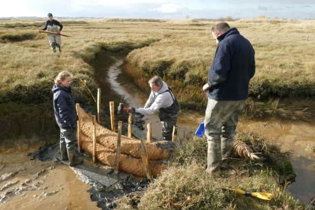 Saltmarsh installing coir rolls Abbotts Hall Farm. Picture: Essex Wildlife Trust