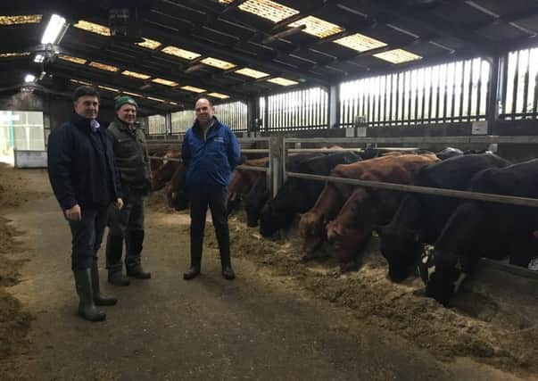 Michael Graham, CAFRE Farm Manager, Lindsay Mawhinney, Assistant Farm Manager, Beef and Sheep Centre and Graeme Campbell, Senior Beef and Sheep Technologist, CAFRE discussing plans for the awareness event on the 16th January 2020.