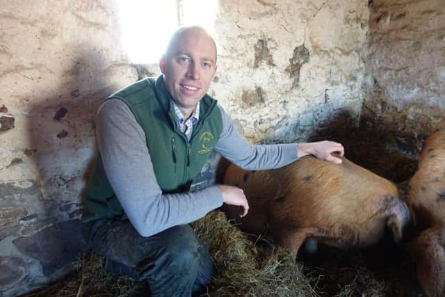 Crossgar pig breeder Robbie Neill