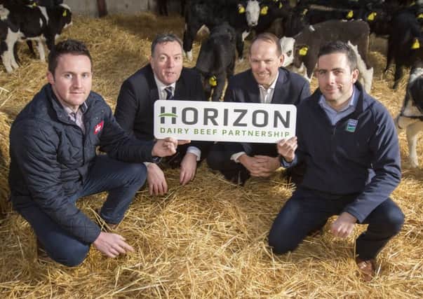 Left to right:  Arthur Callaghan and George Mullan (ABP) with Nick Whelan and Chris Frizzell (Dale Farm)