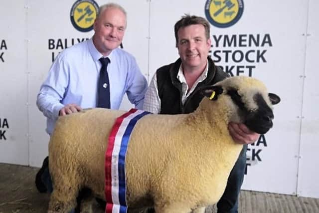 Judge Trevor Fegan and Sean Doyle with the champion female at the October sale at Ballymena
