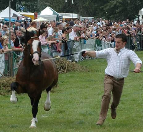 Shane's Castle will be the venue for the annual game fair in June
