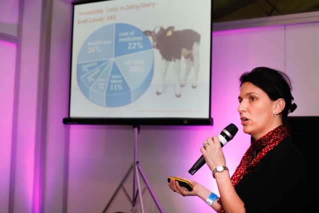 Aurelie Moralis speaking at one of the seminars at the Winter Fair. Photograph: Columba O'Hare