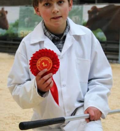 Young handler Matthew McLucas who won one of the calf classes