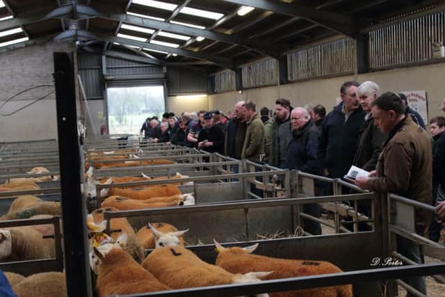 Some of the crowd who attended the January Gems Sale