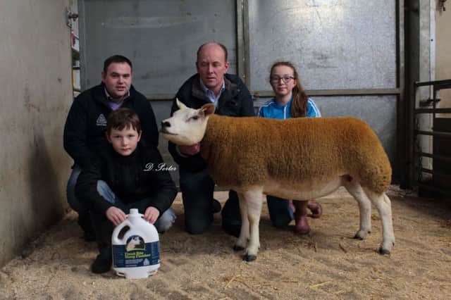 Liam Brown, purchaser of the highest price in-lamb gimmer for 2,000gns from Blue Gate Texels at the January Gems 2016 being presented with 2.5Litres of Ewe Bloom courtesy of Gerard Snow of AgriCare Nutrition
